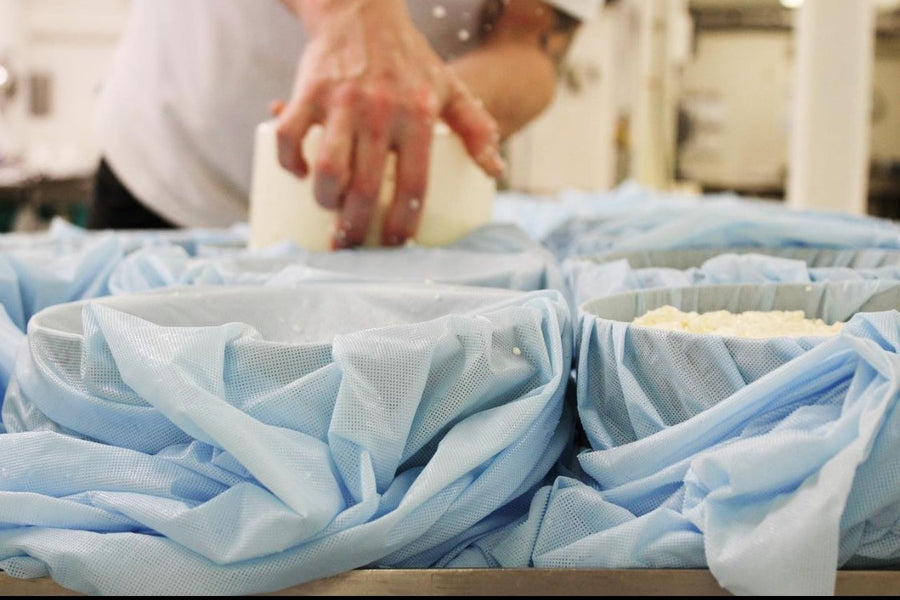 "Celebrating Tradition and Innovation in Canadian Artisan Cheese Making"